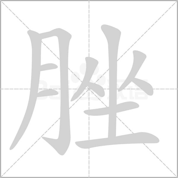 笔顺动画
