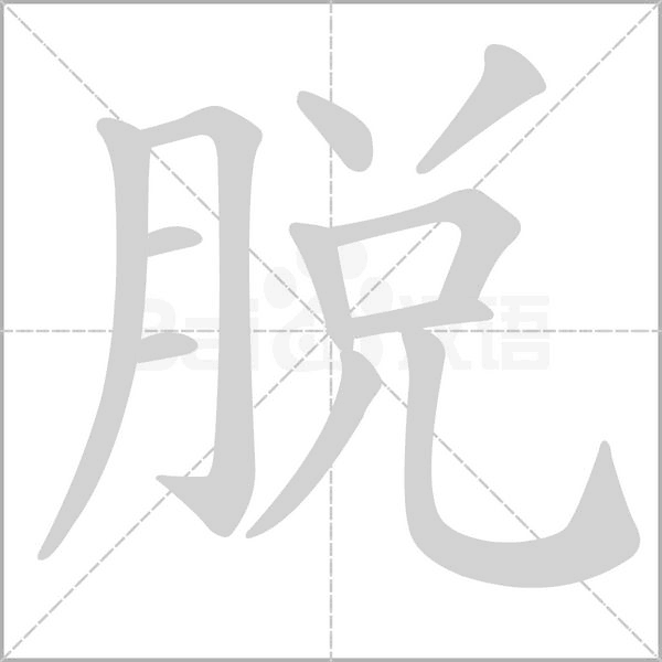 笔顺动画