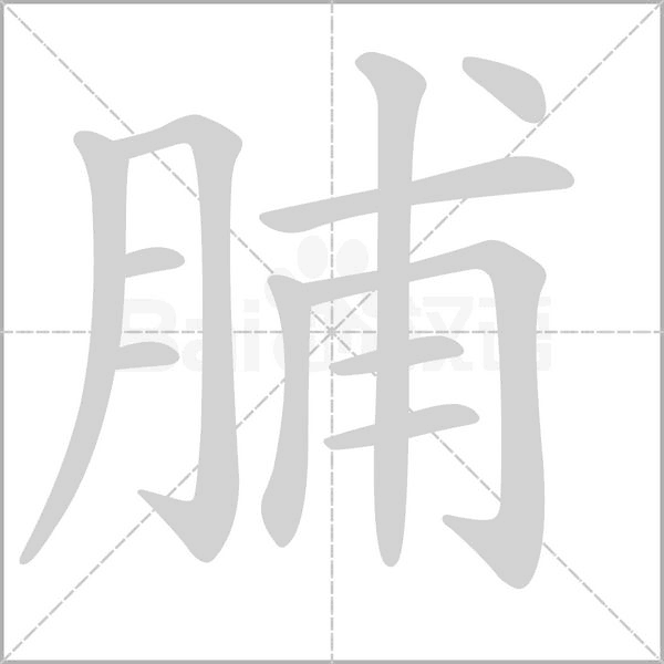 笔顺动画