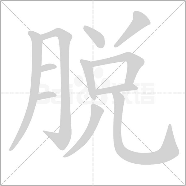 笔顺动画