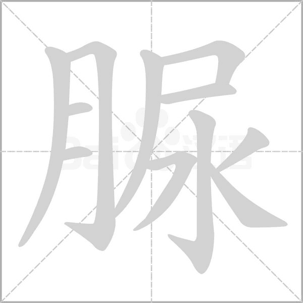 笔顺动画