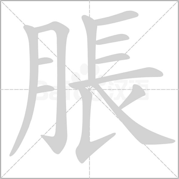 笔顺动画