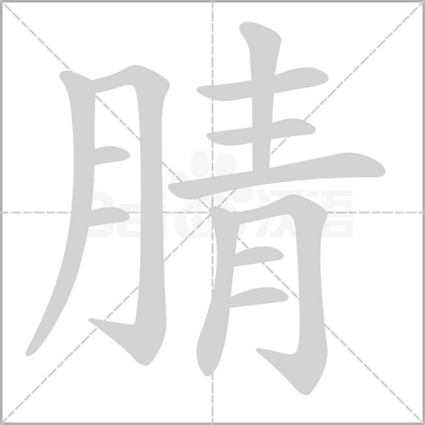 笔顺动画
