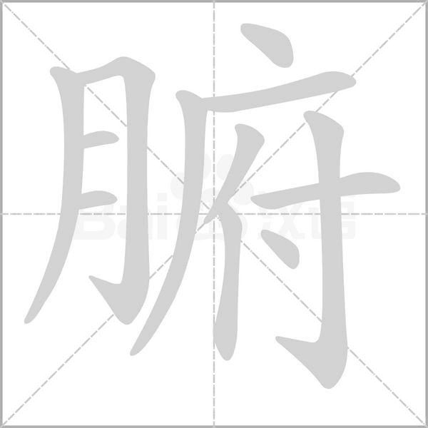 笔顺动画