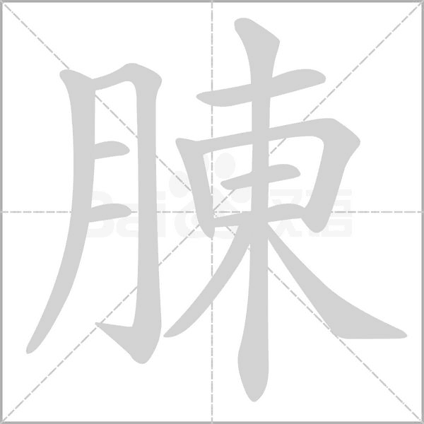 笔顺动画