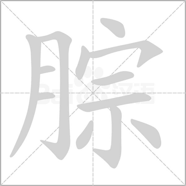 笔顺动画