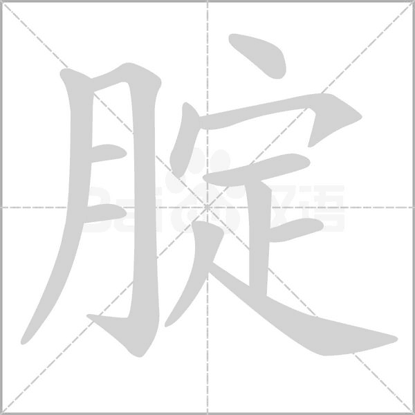 笔顺动画