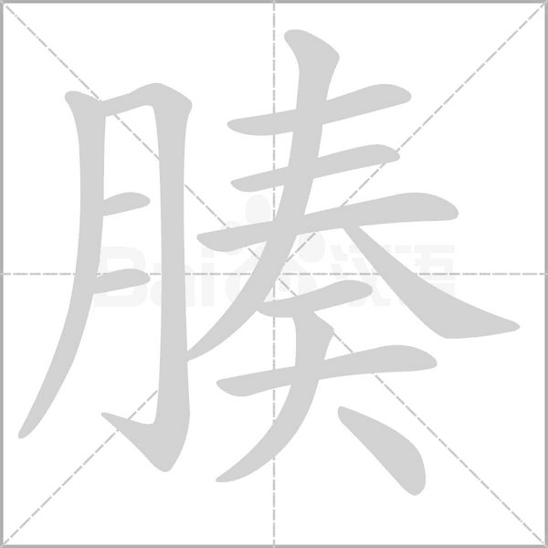 笔顺动画