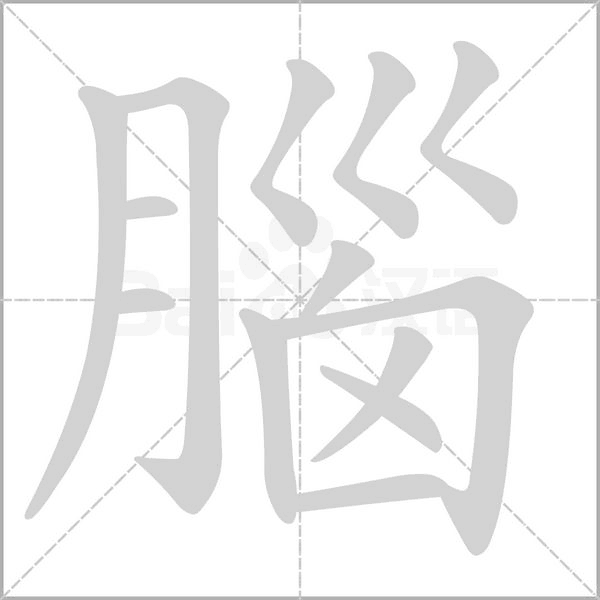 笔顺动画