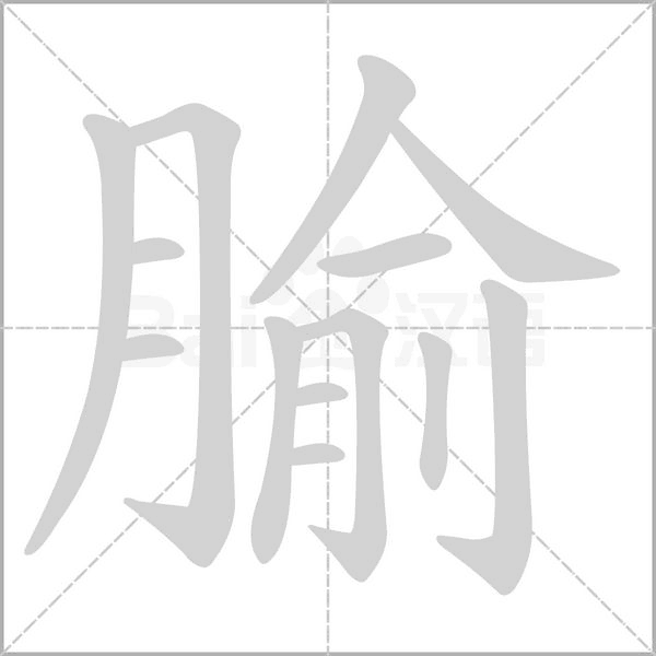 笔顺动画