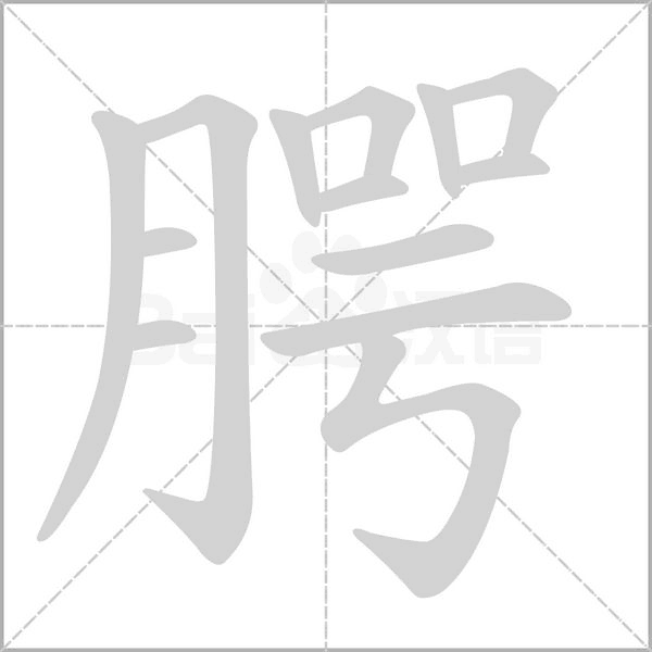 笔顺动画