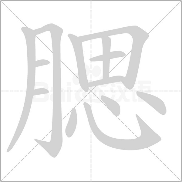 笔顺动画