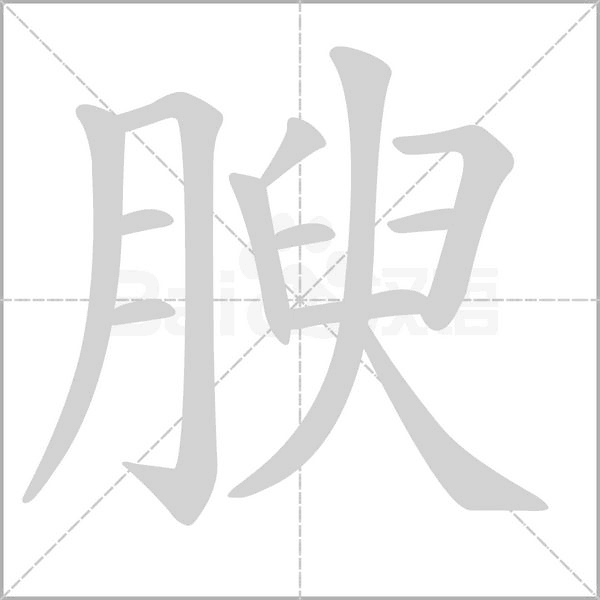 笔顺动画