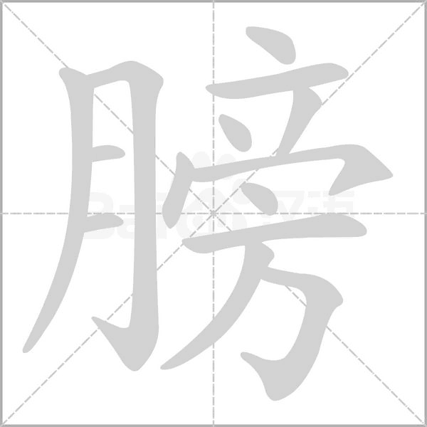 笔顺动画