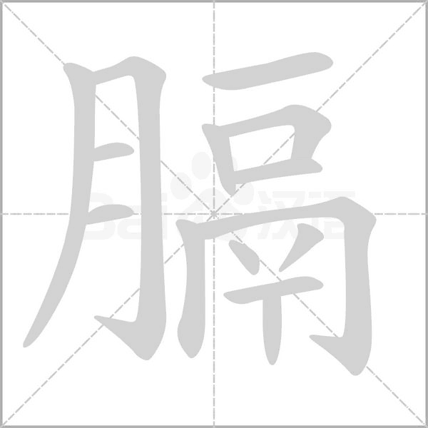 笔顺动画
