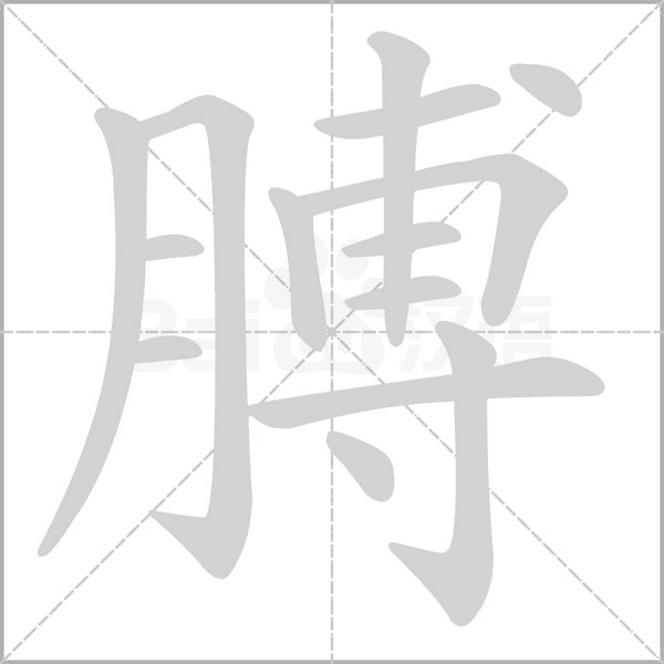笔顺动画