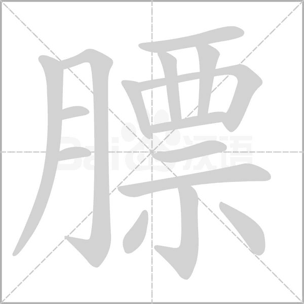 笔顺动画