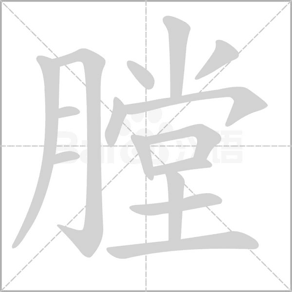 笔顺动画