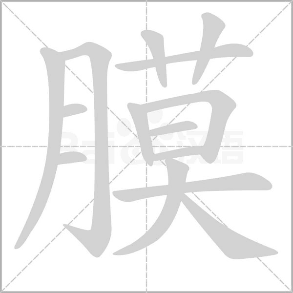 笔顺动画