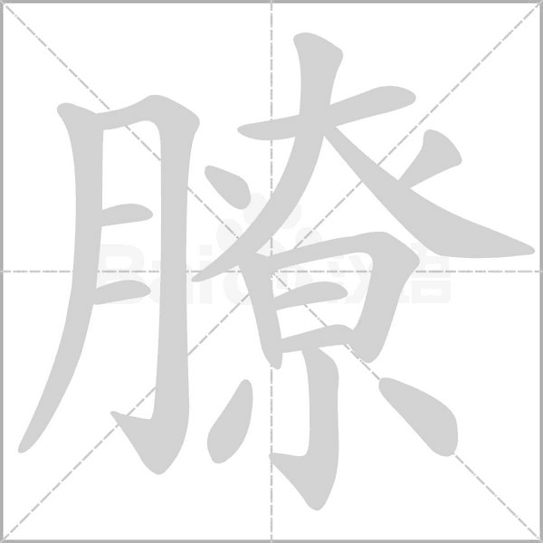 笔顺动画