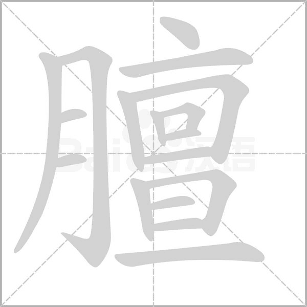 笔顺动画