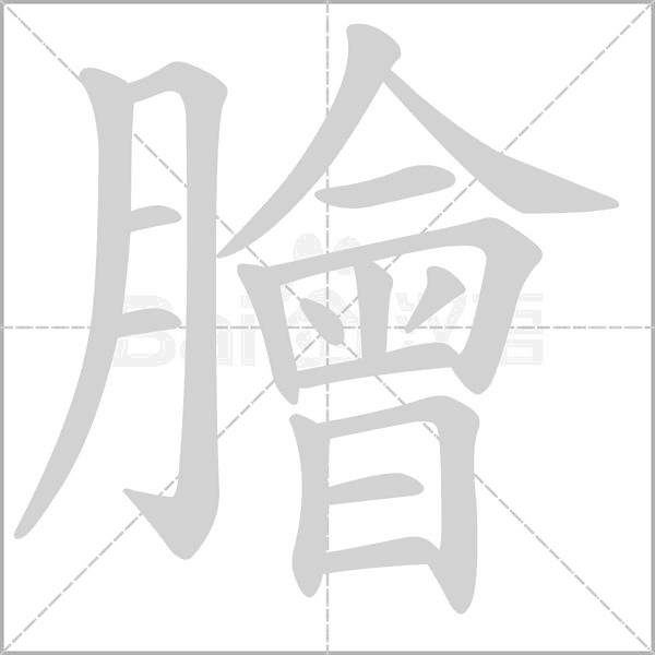 笔顺动画