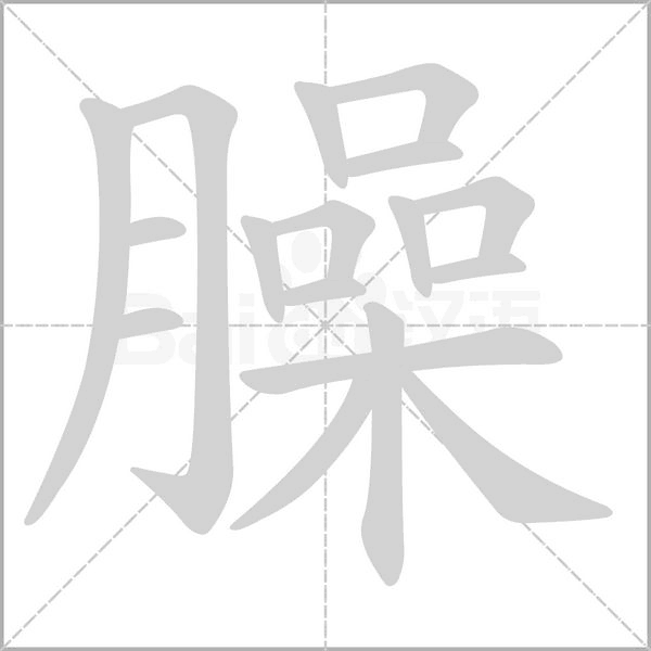 笔顺动画