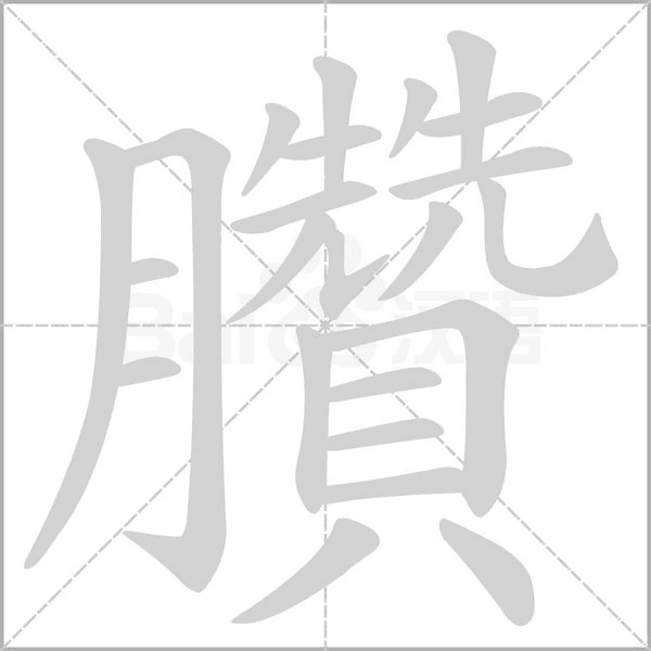 笔顺动画