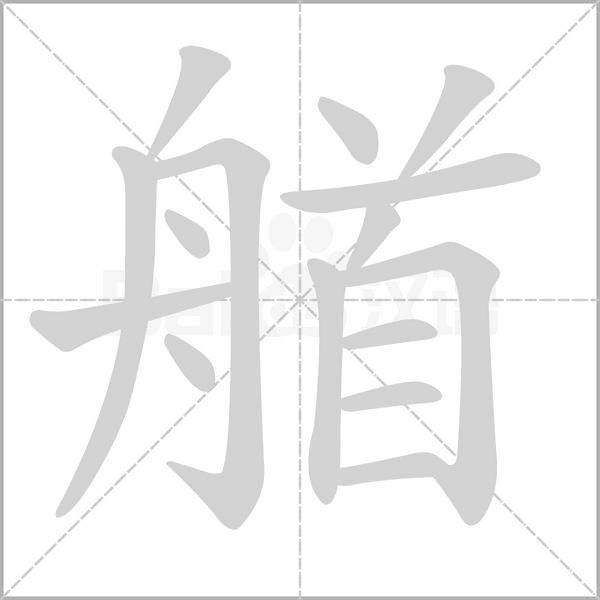 笔顺动画