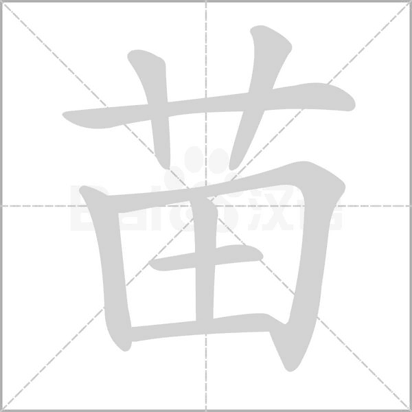 笔顺动画