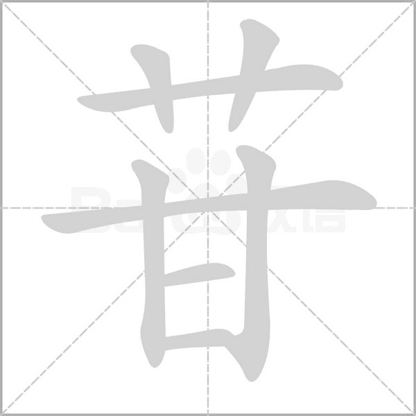 笔顺动画