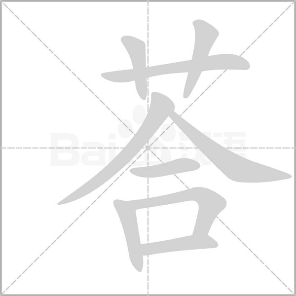 笔顺动画