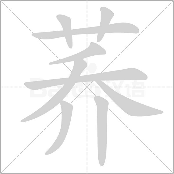 笔顺动画