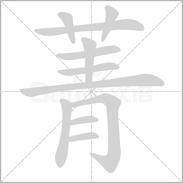 笔顺动画