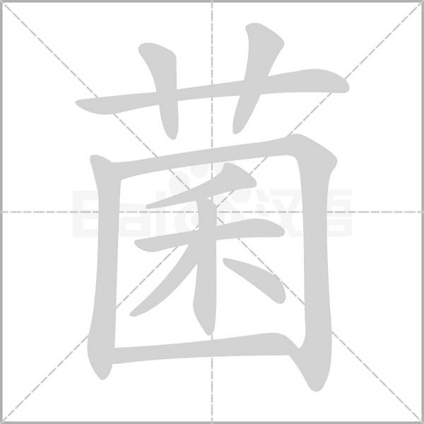 笔顺动画