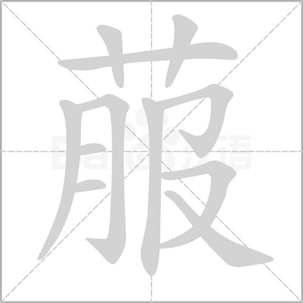笔顺动画