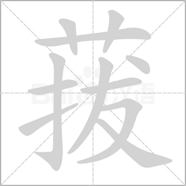 笔顺动画