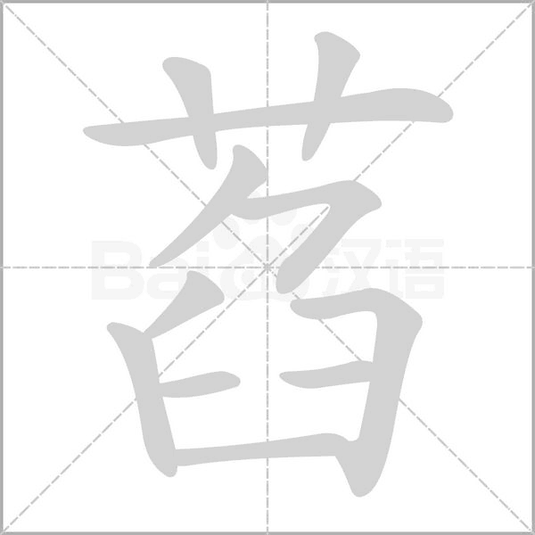 笔顺动画