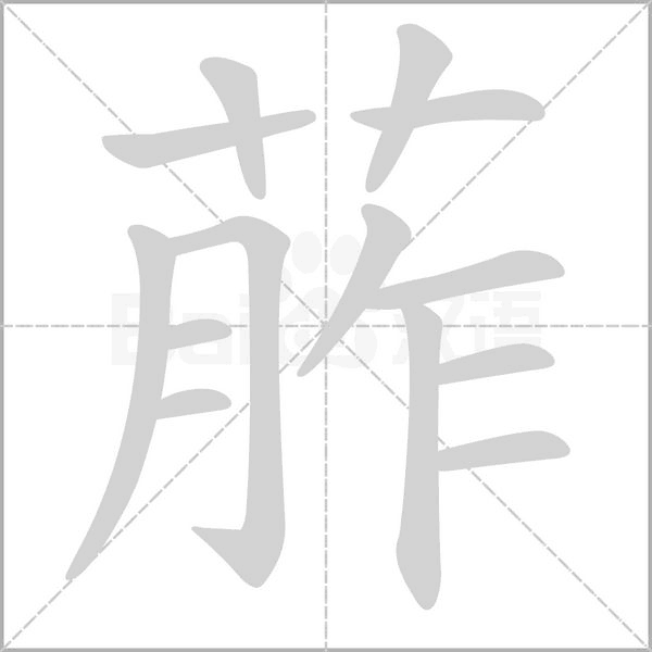 笔顺动画