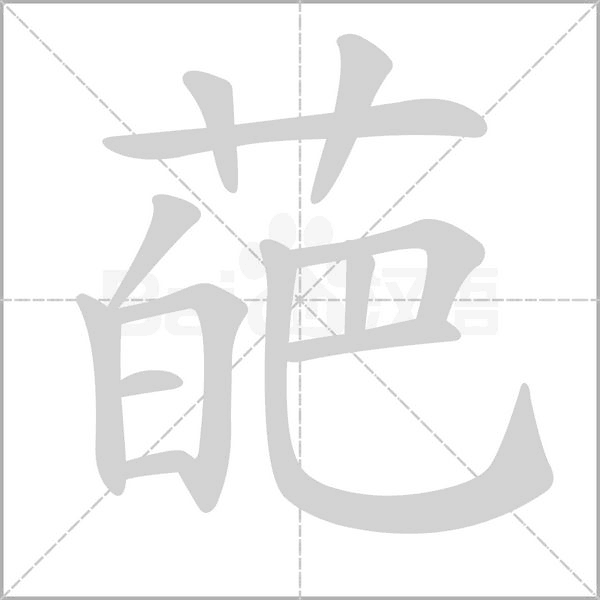 笔顺动画