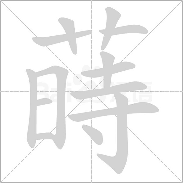 笔顺动画
