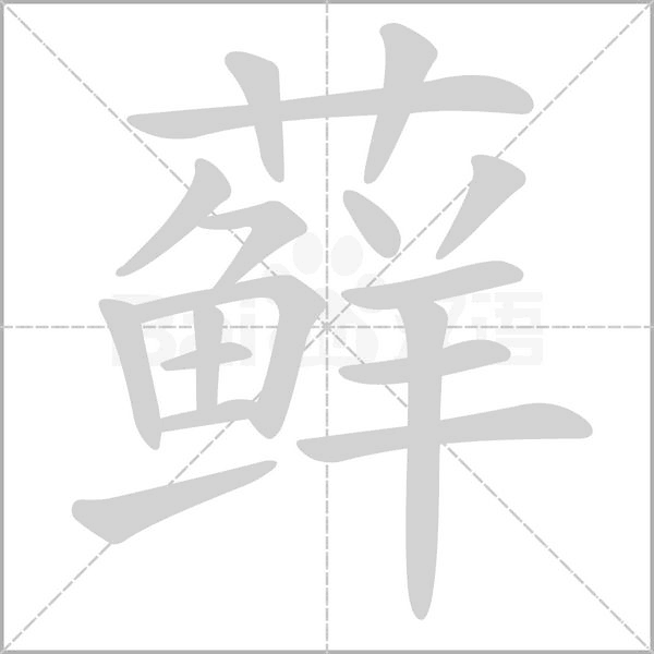笔顺动画