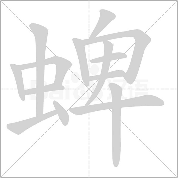 笔顺动画