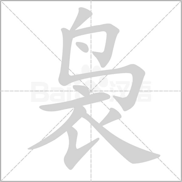笔顺动画
