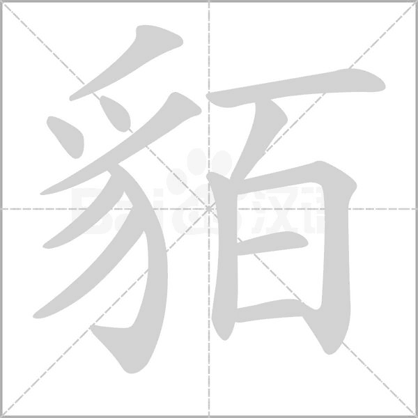 笔顺动画