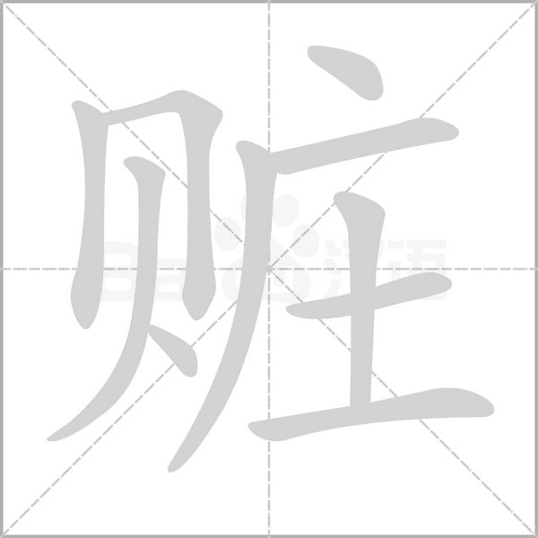 笔顺动画
