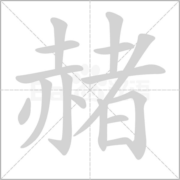 笔顺动画