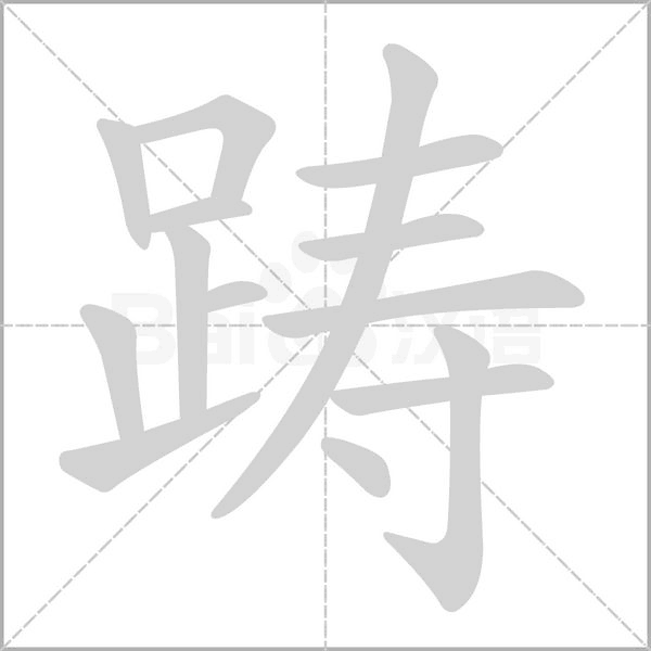 笔顺动画