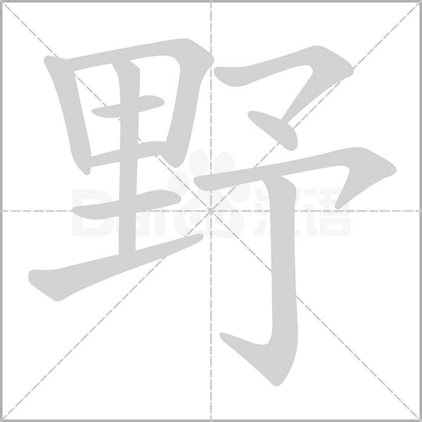 笔顺动画