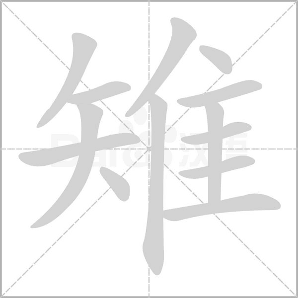 笔顺动画